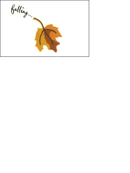 Bernina Direct Response Letter